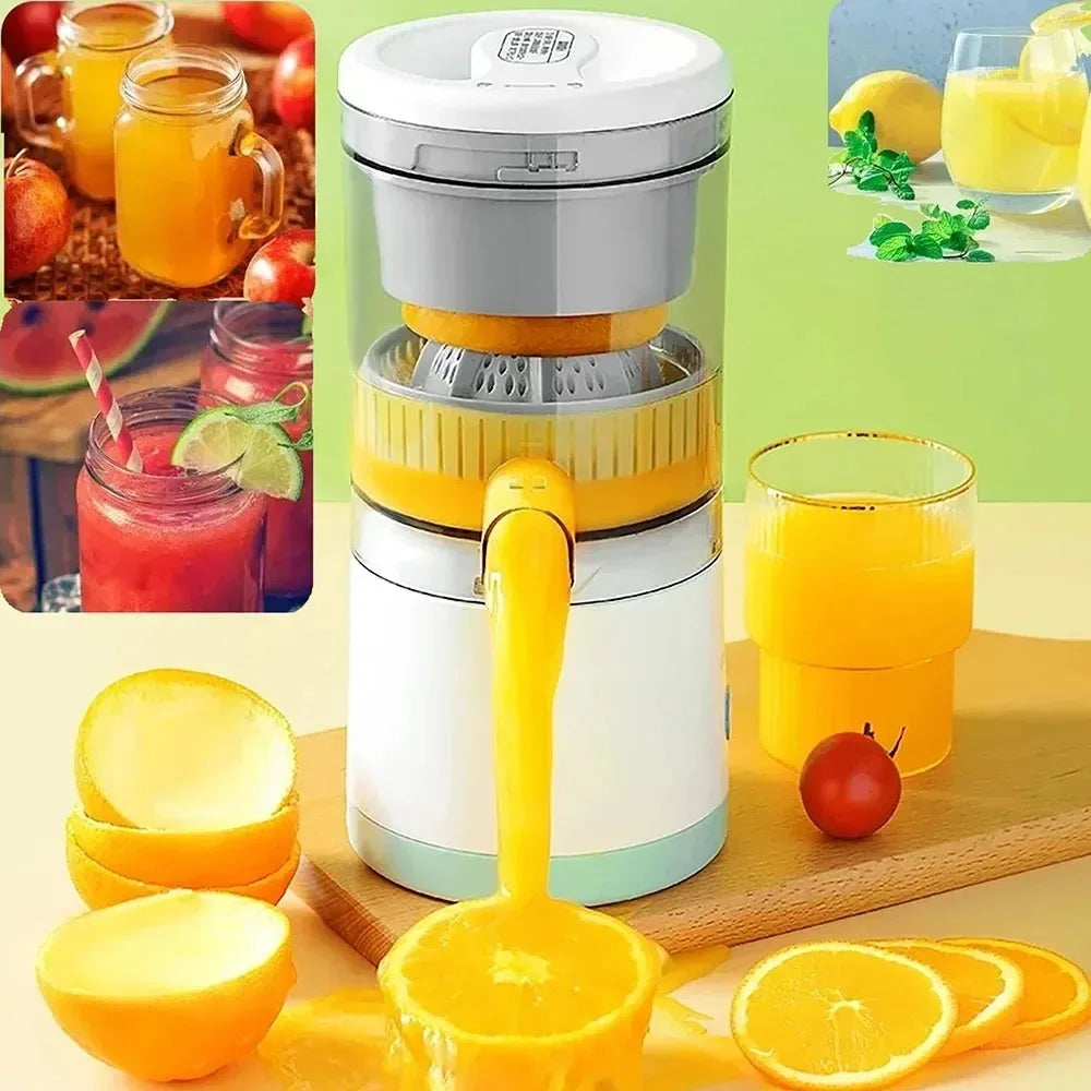 Portable Fruit Blender