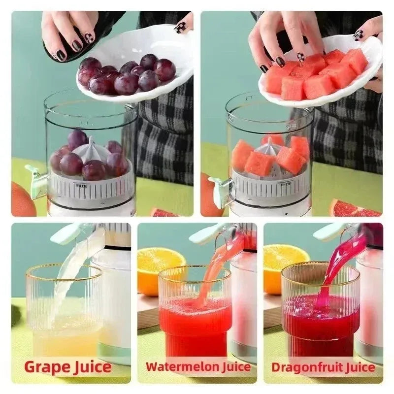 Portable Fruit Blender