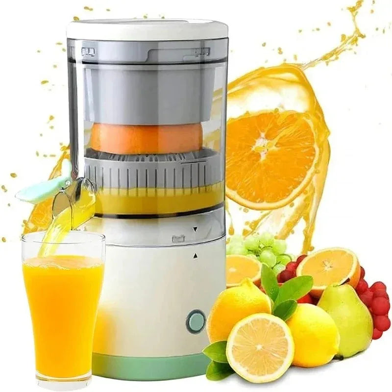 Portable Fruit Blender